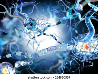 3d Illustration Of Nerve Cells, Concept For Neurological Diseases, Tumors And Brain Surgery. 