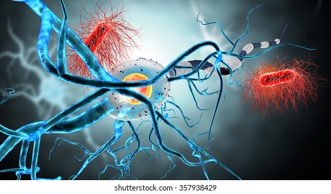 3d illustration of nerve cells, concept for Neurological Diseases, tumors and brain surgery. 