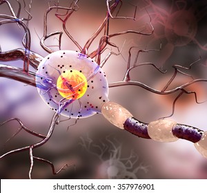 3d illustration of nerve cells, concept for Neurological Diseases, tumors and brain surgery.