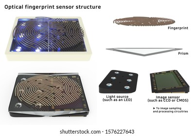 3D illustration, Optical fingerprint sensor structure