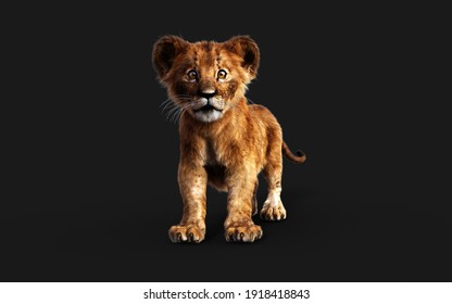 Lion King Simba Images Stock Photos Vectors Shutterstock