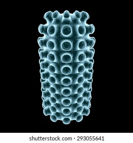 3D Illustration Of Rabies Virus