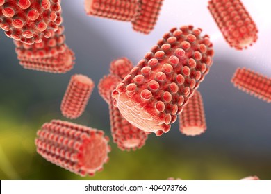 3D Illustration Of A Rabies Virus