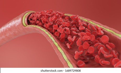 3d illustration of red blood cells inside an artery, vein. Healthy arterial cross-section blood flow. Scientific and medical microbiological concept. Enrichment with oxygen and important nutrients.