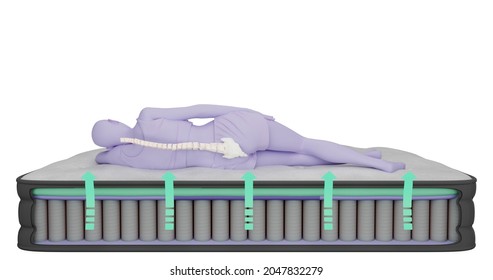 3d illustration rendering of the inner part of the mattress composition a layer of foam, springs, a stylized figure of a woman, a human lies on top. The arrows show the supporting function of the matt - Powered by Shutterstock