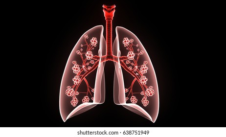 3d Illustration Human Body Respiratory System Stock Illustration ...