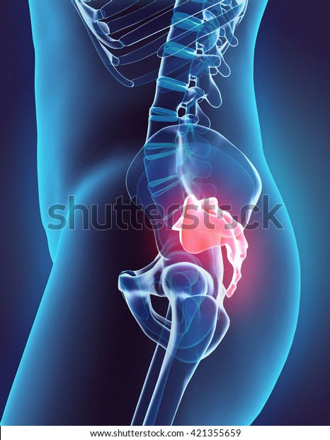 3D\
illustration of Sacral Spine - Part of Human\
Skeleton.