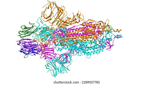 3D Illustration. Sarscov-2 Coronavirus Spike. Structure In Ribbons.