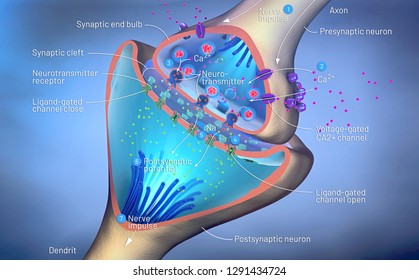 3d illustration of the scientific function of a synapse or neuronal connection with a nerve cell