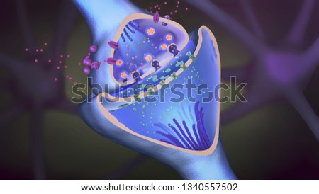 3d illustration of the scientific function of a synapse or neuronal connection with a nerve cell