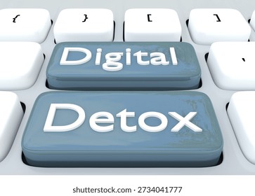 3D illustration of the script Digital Detox on two buttons.