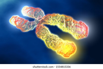 3D illustration showing chromosome with highlighted telomeres