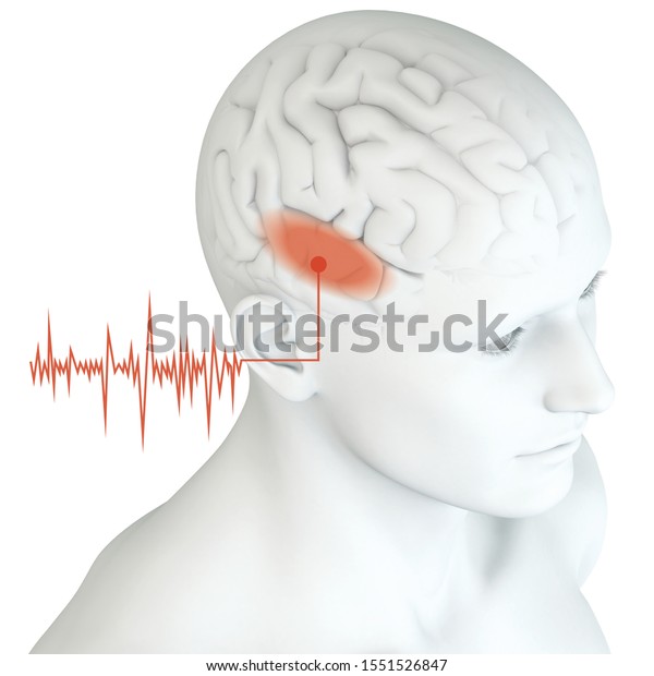 3d Illustration Showing Human Ear Man Stock Illustration 1551526847 ...