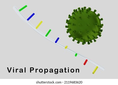 3D Illustration Of Single Helix With Coronavirus Particles And Coronavirus Particle, Isolated Over Gray Background.
