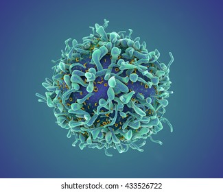 3d illustration of a single T cell or cancer cell