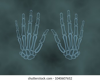 3d Illustration Skeletal Hand