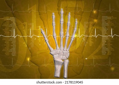 3d Illustration Of 
Skeletal Hand