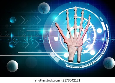 3d Illustration Of Skeletal Hand