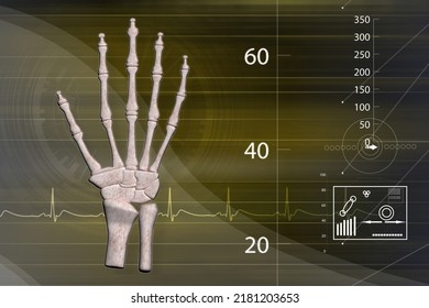 3d Illustration Of Skeletal Hand