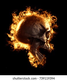 Fire Skull Images Stock Photos Vectors Shutterstock