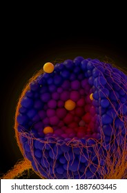 3D Illustration Of A Solid Tumor, Indicating The Presence Of Multiple Cell Types Such As Tumor Stem Cells And Tumor Cells Which Can Disseminate From The Primary Tumor.