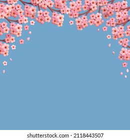 3D Illustration Spring Cherry Blossom With Sky Color Background