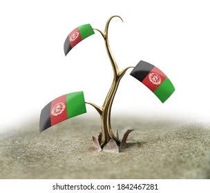 3d Illustration. 3d Sprout With Afghani Flag On White