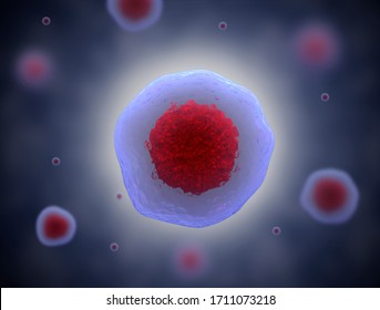 3D Illustration Of Stem Cell. Nucleolus, Nucleus, Nucleus Of The Eukaryotic Cell. Human Body Cell.
