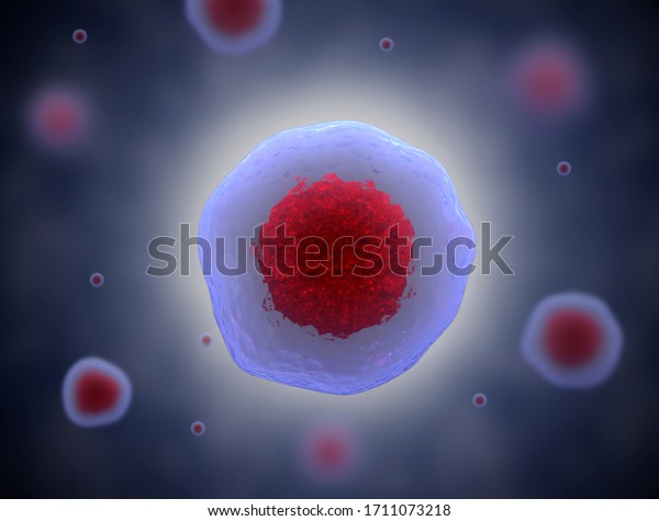 3D illustration of
stem cell. nucleolus, nucleus, nucleus of the eukaryotic cell.
human body cell.
