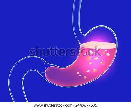 3D illustration of stomach digesting with burning and heaviness. Showing the interior with food. Anatomy of transparent glass with lights and reflections.