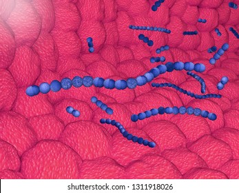 3d Illustration Of Streptococcus Pyogenes