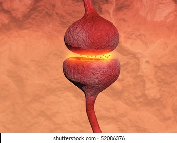 3D Illustration Of A Synapse Between Two Neurons