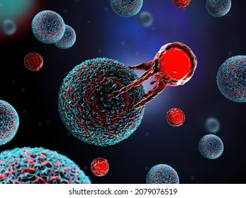 3d Illustration Of A T Cell Attacking A Cancer Cell