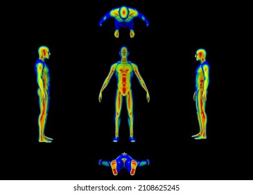 3D illustration - Thermal Imaging and Human Body