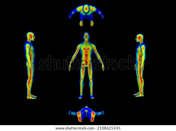 3D\
illustration - Thermal Imaging and Human\
Body