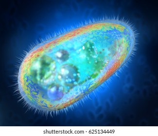 3D Illustration Of Transparent And Colorful Protozoa Or Unicellular Organism