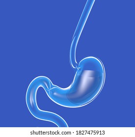 3d Illustration Of Transparent Glass Stomach. Showing The Interior, Esophagus And Duodenum On A Blue Background.