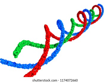 3D Illustration Of Triple Helix DNA