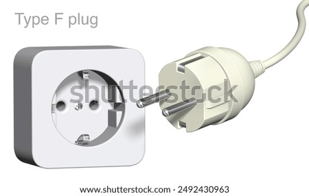 3d illustration of type F plug