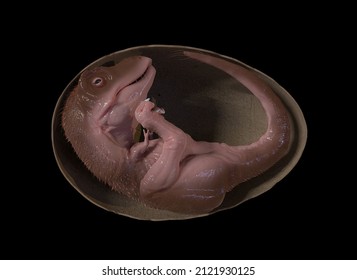 3d illustration of a Tyrannosaurus rex embryo in its egg