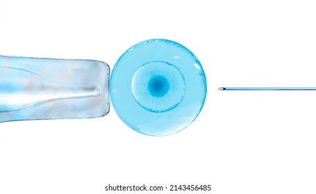 3d Illustration Of In Vitro Fertilization Under A Microscope. Egg, Medical Needle, Test Tube, Pipette.Isolated On White. Close-up, Microscope, Reprudoctology, IVF Advertising Clip Art, High