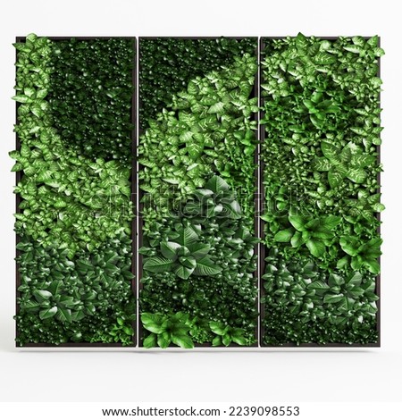 3d illustration of wall tree isolated on white background