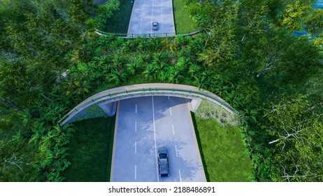 3d Illustration Of Wildlife Crossing In National Park