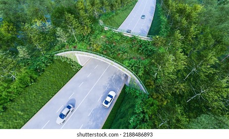 3d Illustration Of Wildlife Crossing In National Park