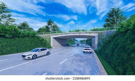 3d Illustration Of Wildlife Crossing In National Park