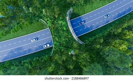 3d Illustration Of Wildlife Crossing In National Park