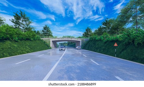 3d Illustration Of Wildlife Crossing In National Park