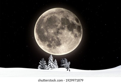 3d Illustration Of A Wolf Jumping Over Snow With Trees And A Full Moon Plus Stars In The Background.