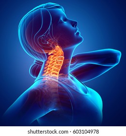 3d Illustration Of Women Feeling The Neck Pain