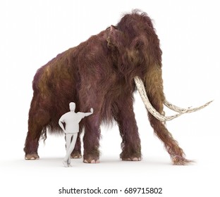 A 3-D Illustration Of A Woolly Mammoth And A Typical Height Human In A Size Comparison.